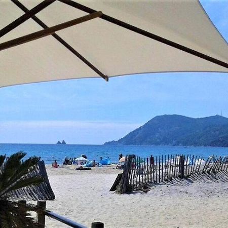 Studio Le Monroe Les Pieds Dans L'Eau 10 M De La Mer La Seyne-sur-Mer Εξωτερικό φωτογραφία