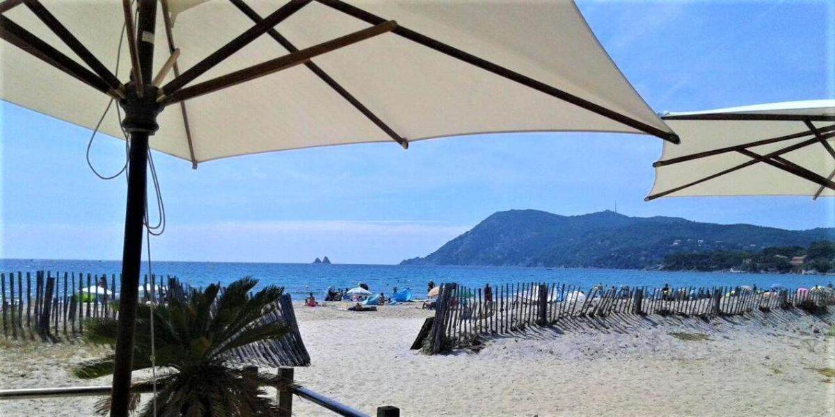 Studio Le Monroe Les Pieds Dans L'Eau 10 M De La Mer La Seyne-sur-Mer Εξωτερικό φωτογραφία